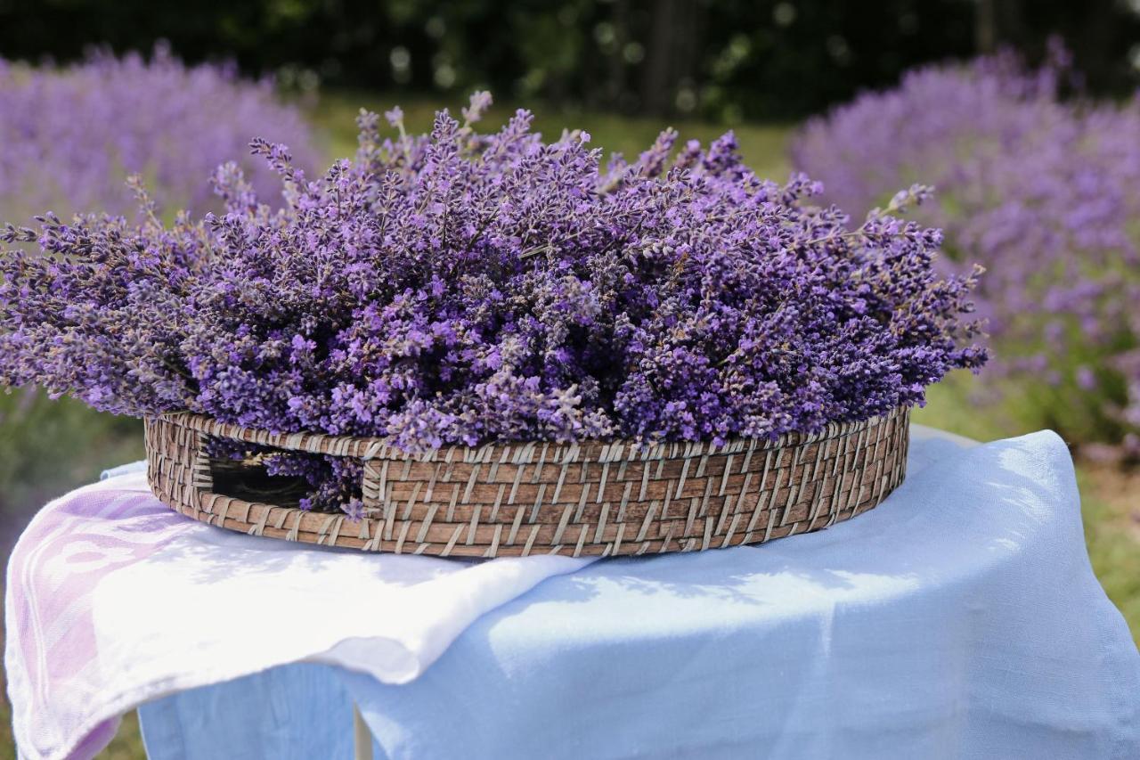 Lavender Village Kiemeliai Eksteriør bilde