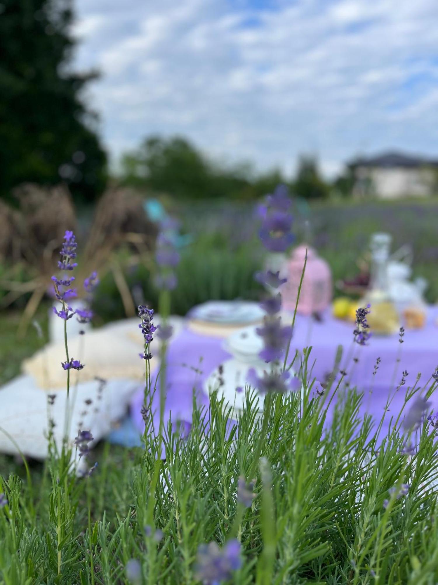 Lavender Village Kiemeliai Eksteriør bilde