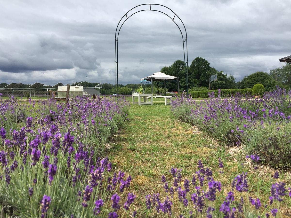 Lavender Village Kiemeliai Eksteriør bilde