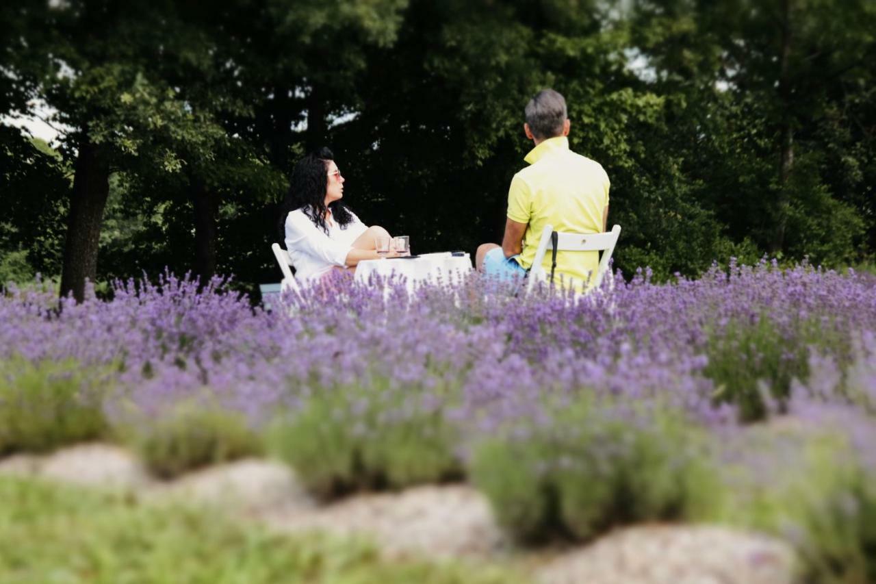 Lavender Village Kiemeliai Eksteriør bilde